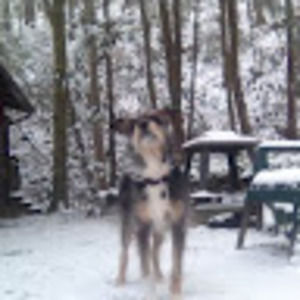 Meet your Posher, Phil